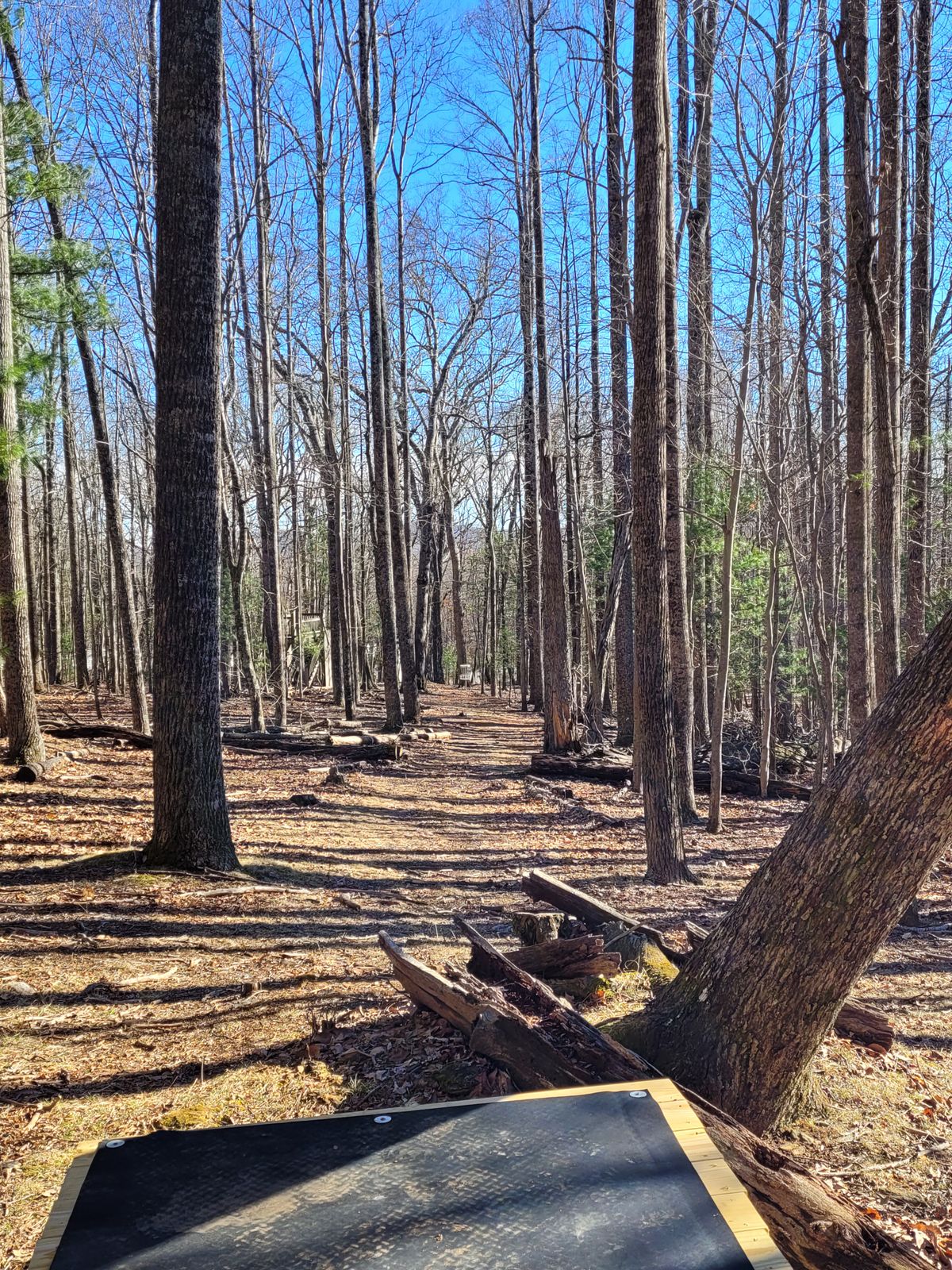 Hole #6 from pad