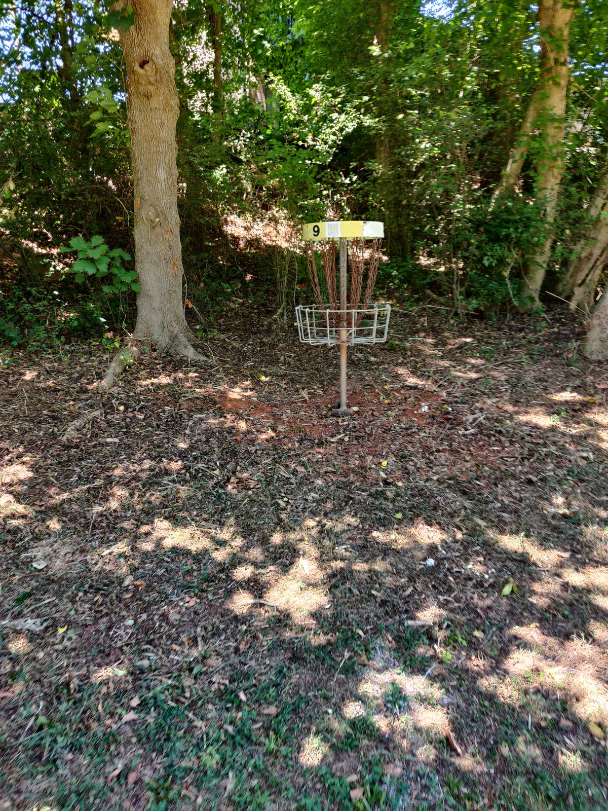 Hole 9. Looking at the basket from the fairway.