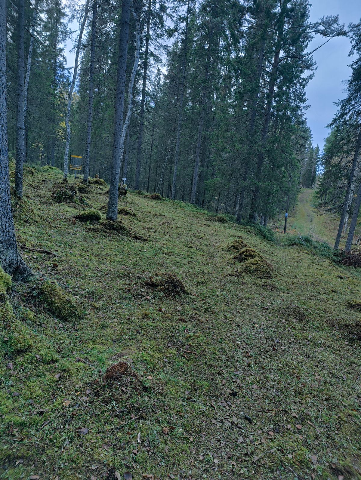 Korg hål 2