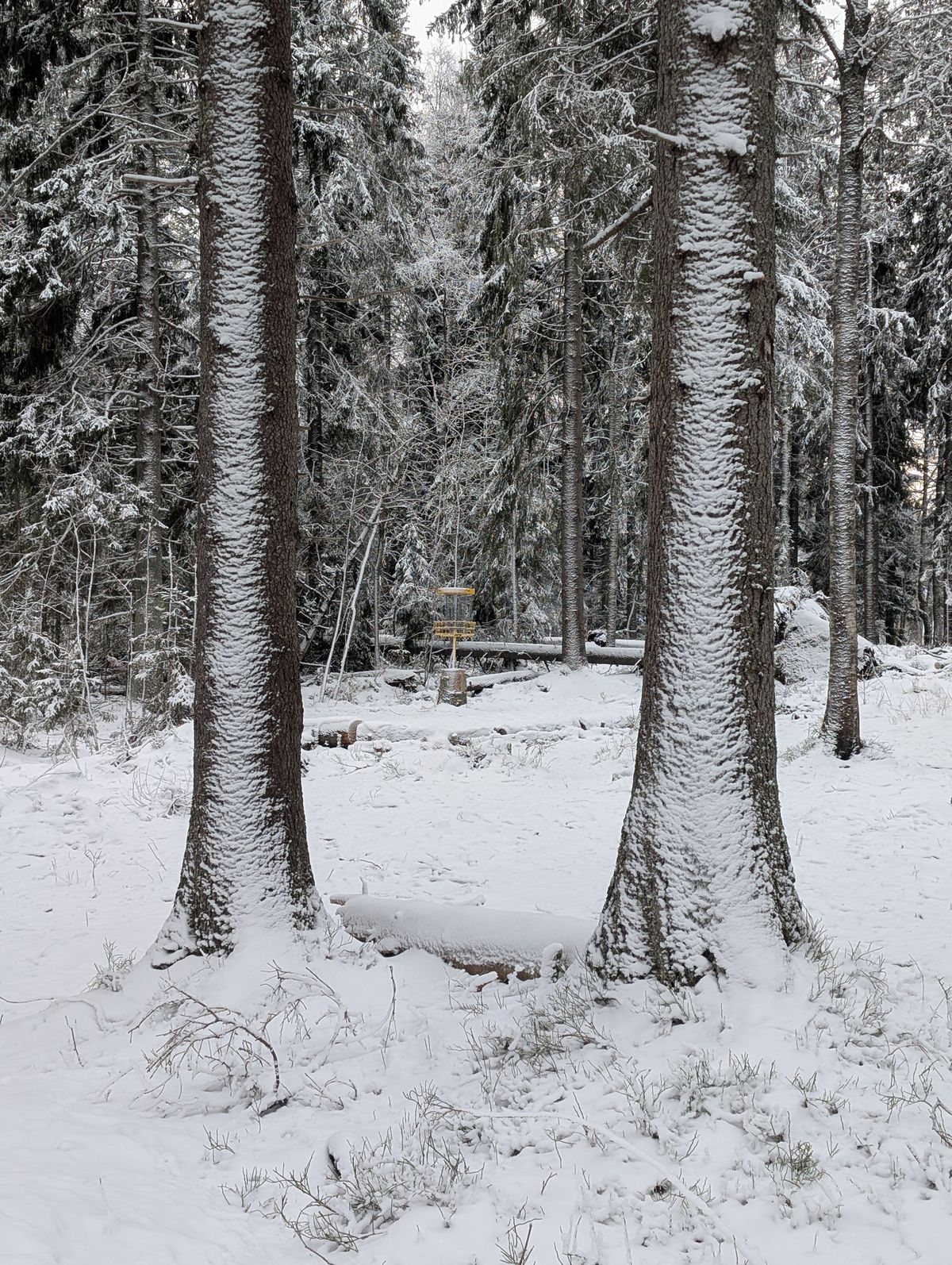 Vinterslingan hål 14