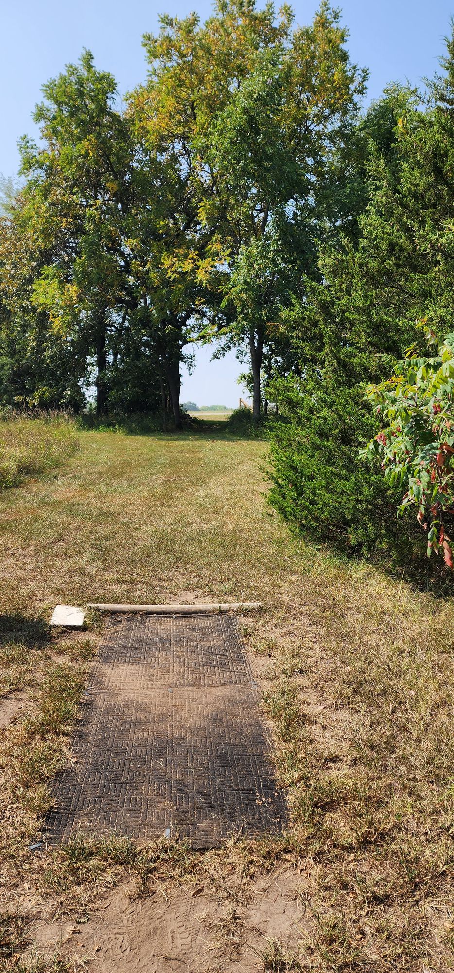 Hole 7