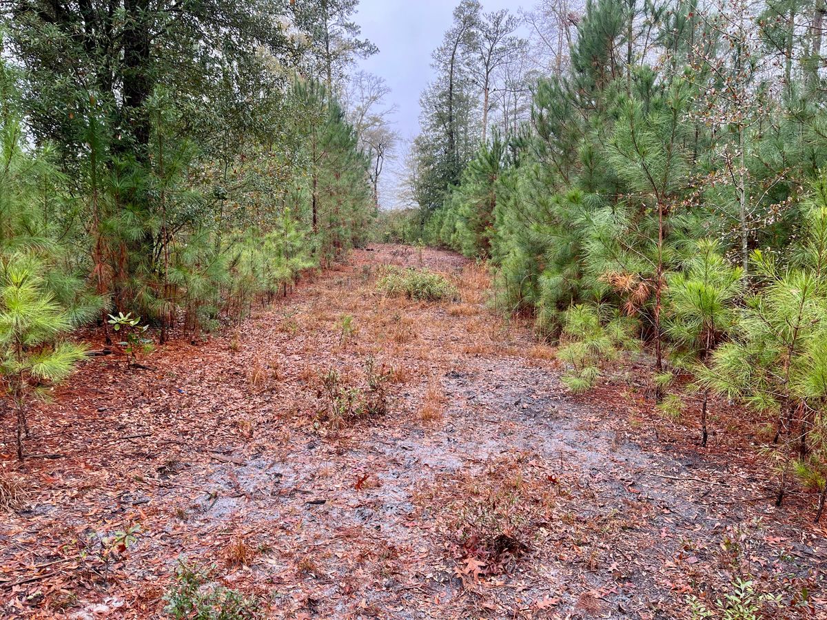 Hole 8 tee