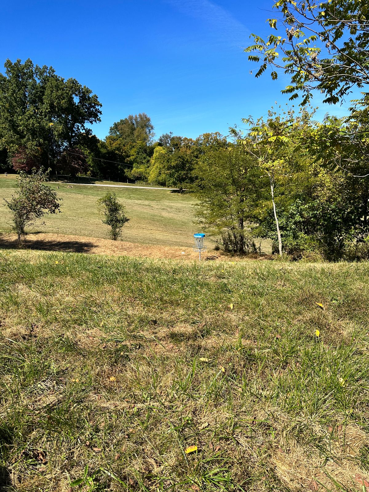 Hole 8 fairway to basket (B)