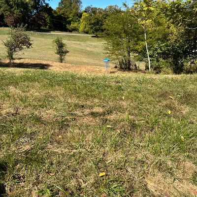 Hole 8 fairway to basket (B)
