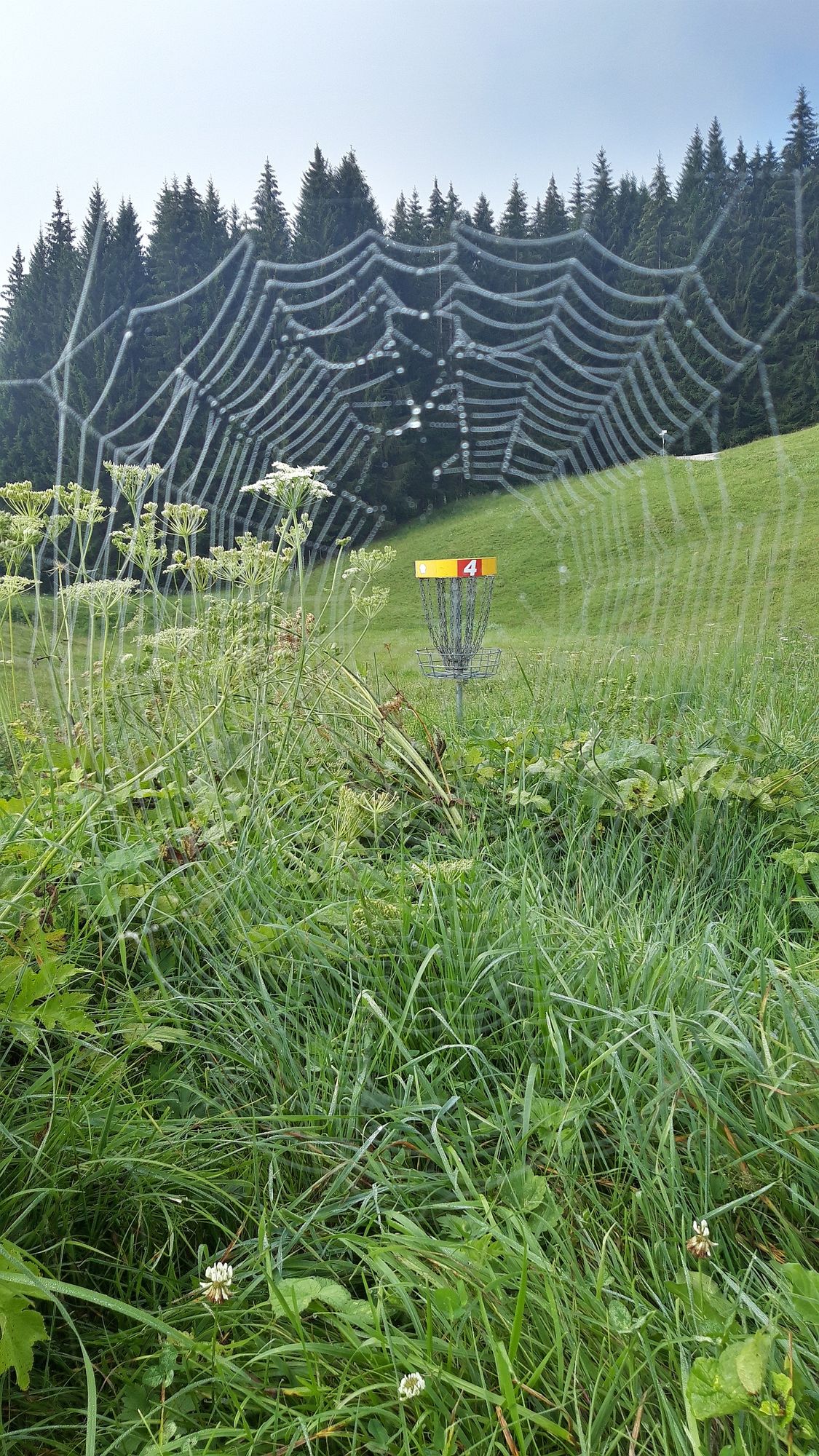 Nature rules in Ofterschwang