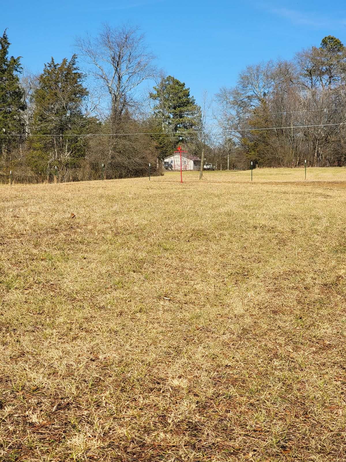Hole 12 and 14 basket