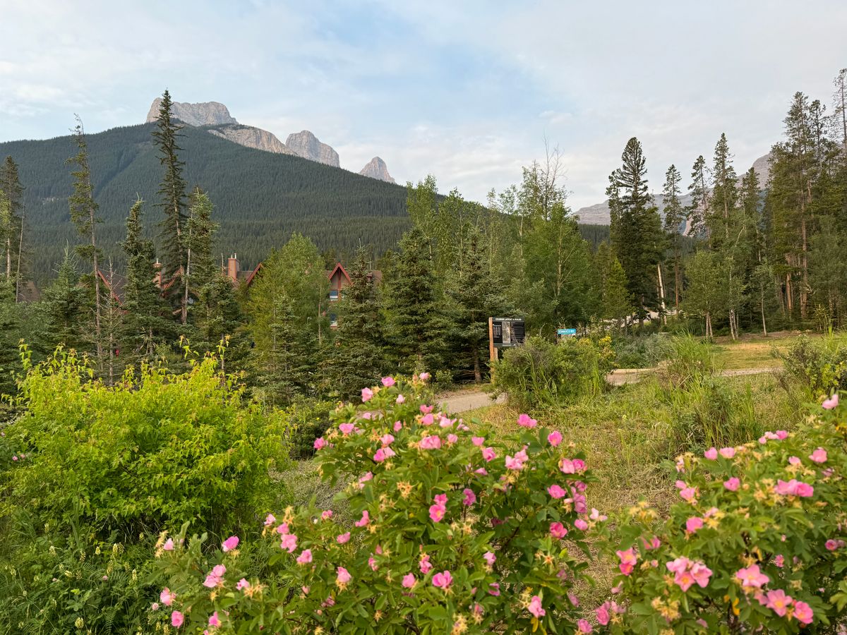 Looking towards hole one from parking area with “Three Sisters” in the background.
