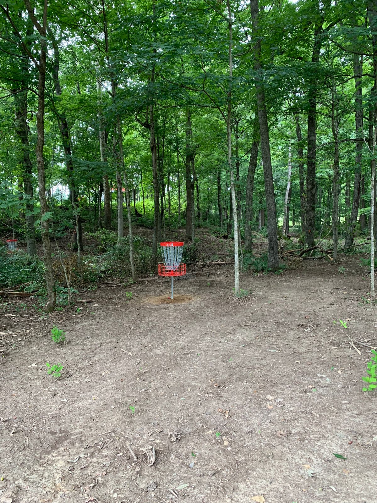 Hole 2 basket.