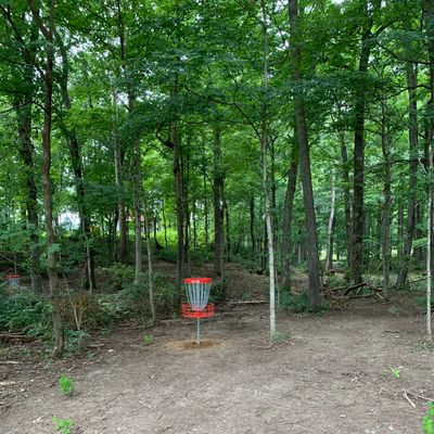 Hole 2 basket.