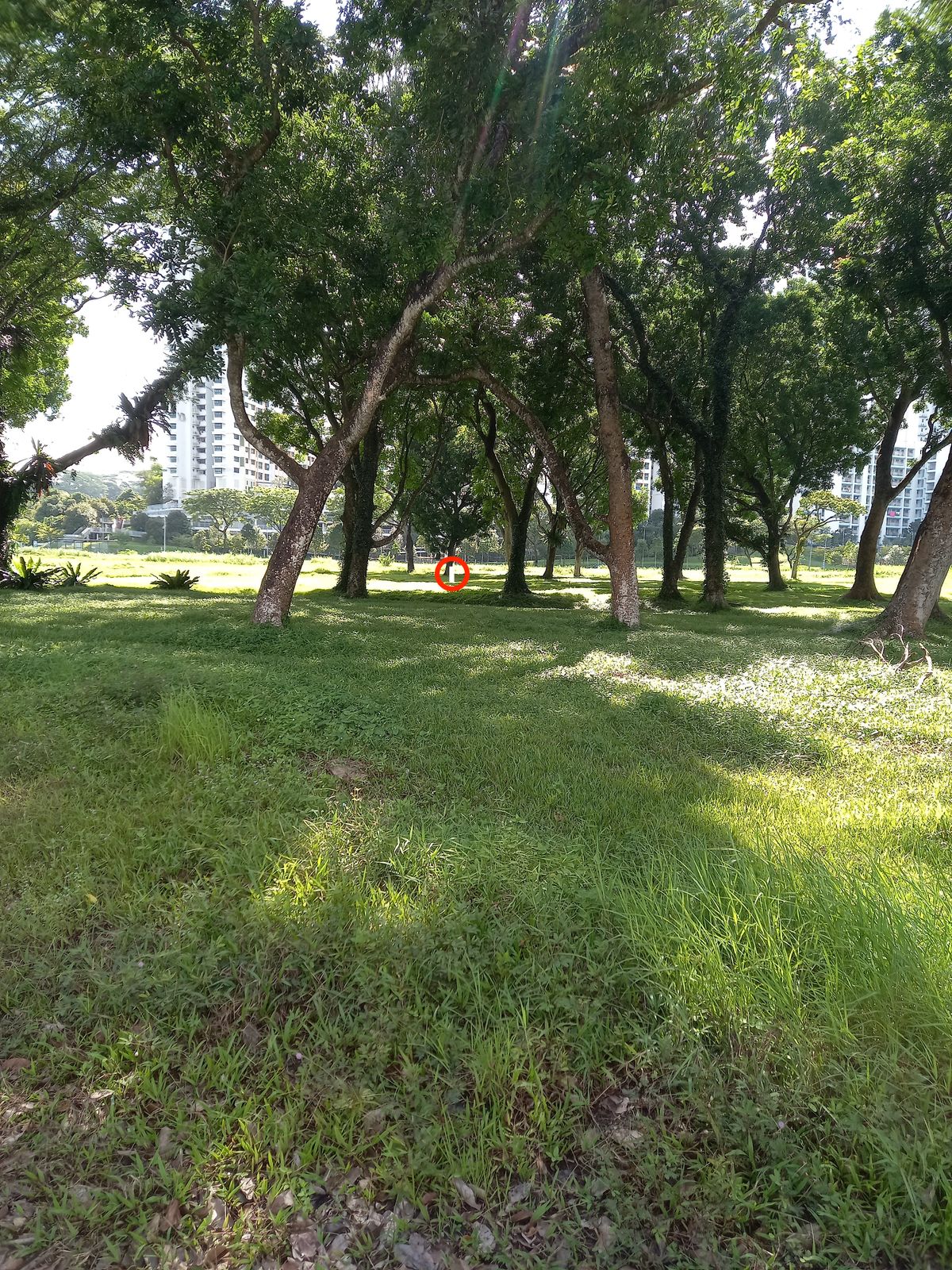 Hole 2