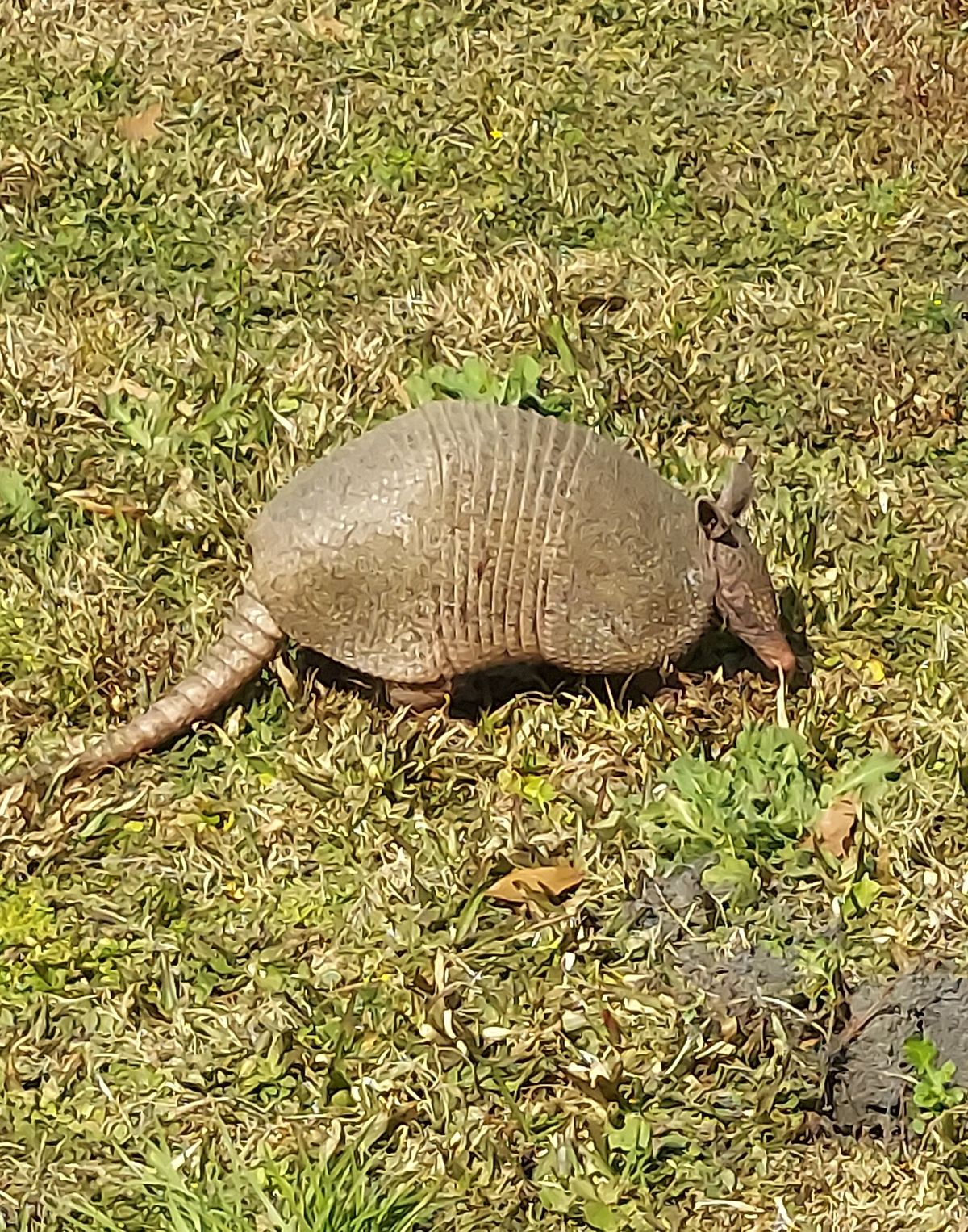 New playing partner!!