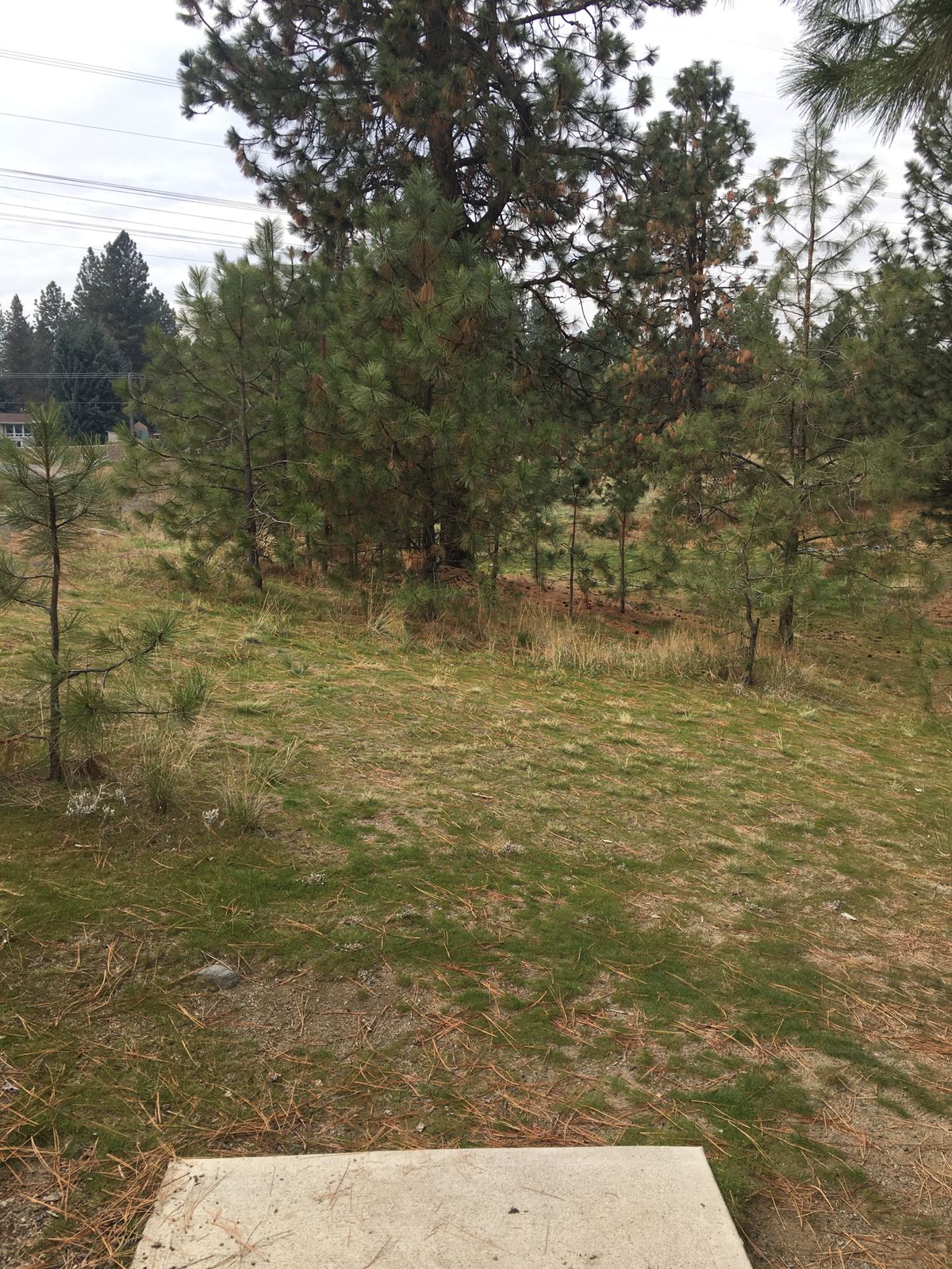 View from hole 1 tee box