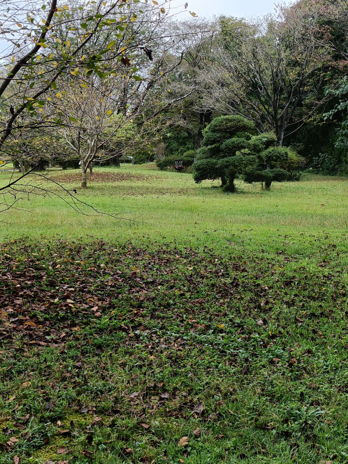 New hole 4 (formerly 2)