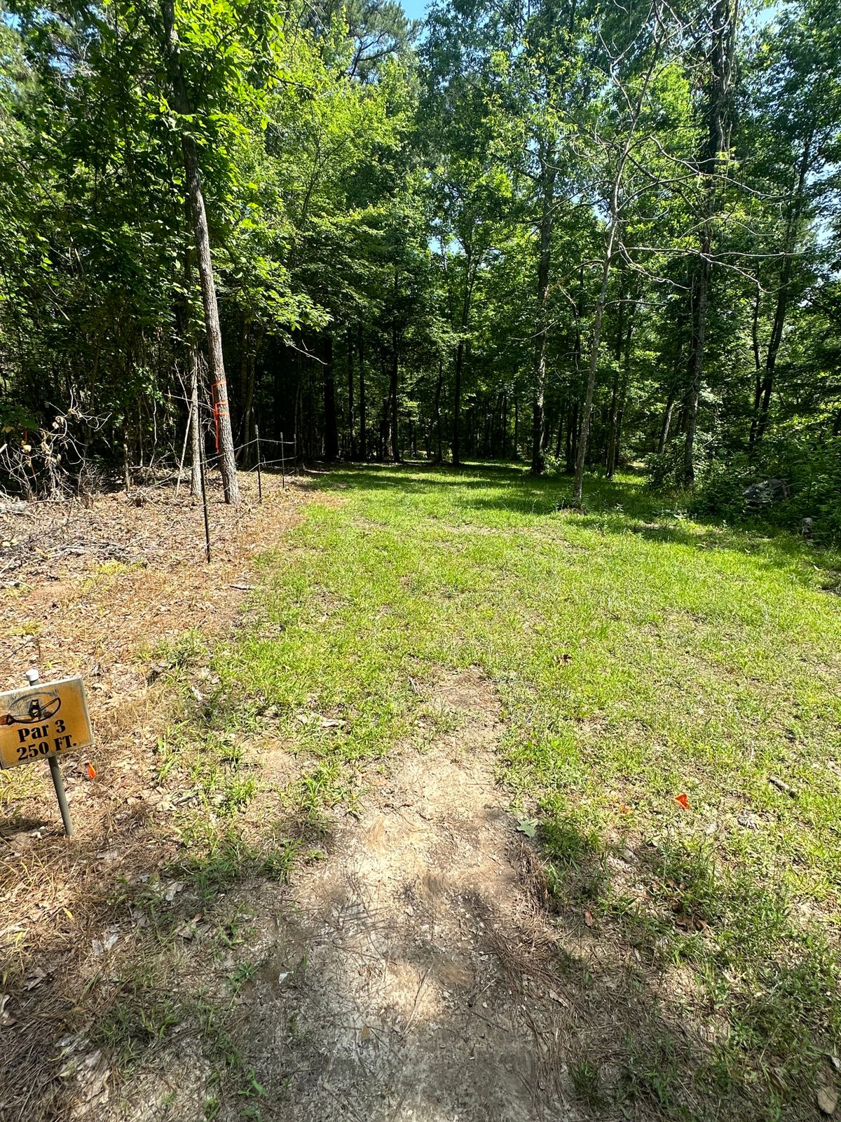 Hole 8 tees