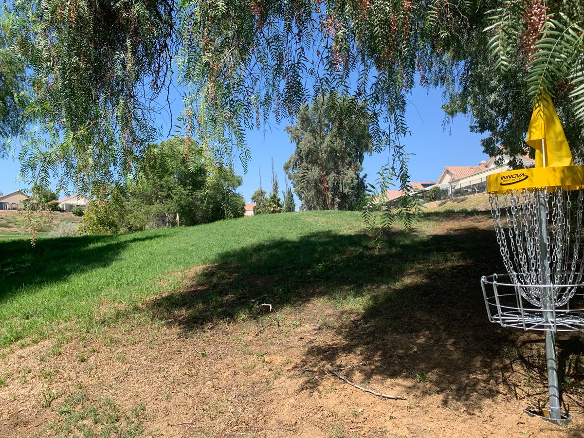 Omega Hole 13 Basket