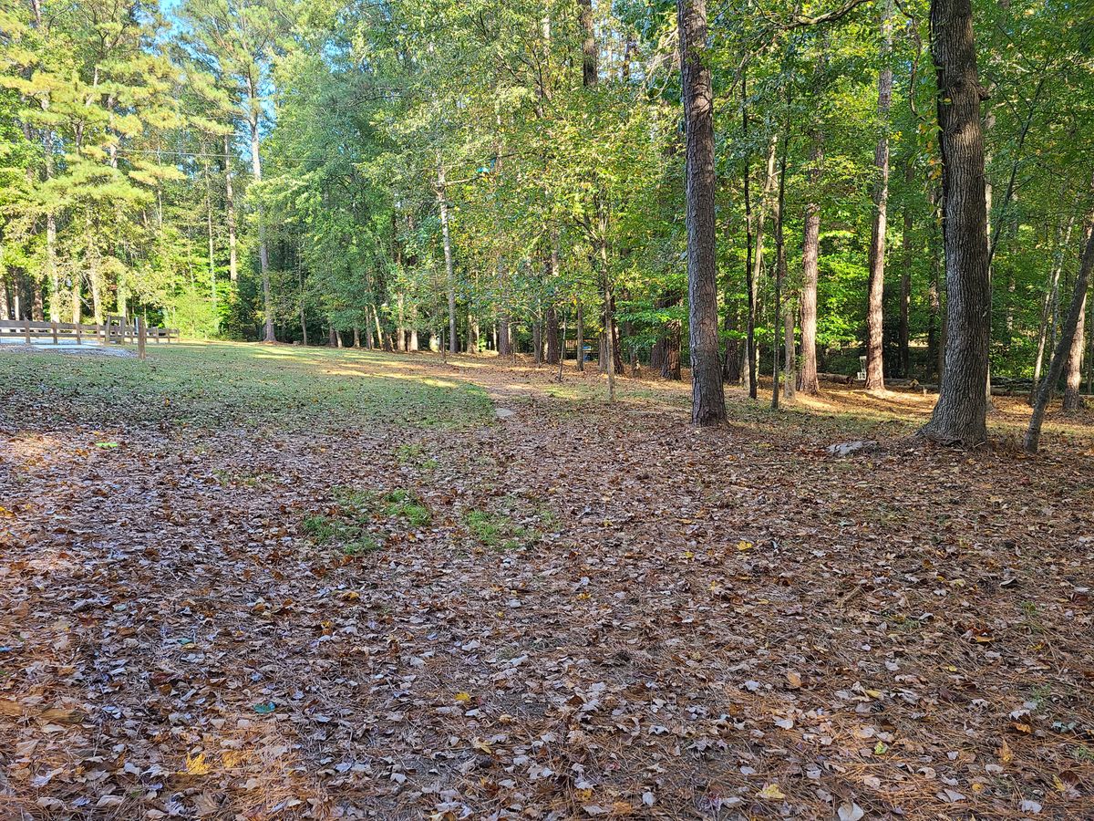 The view towards the basket for 6, because I didn't want to disturb the deer