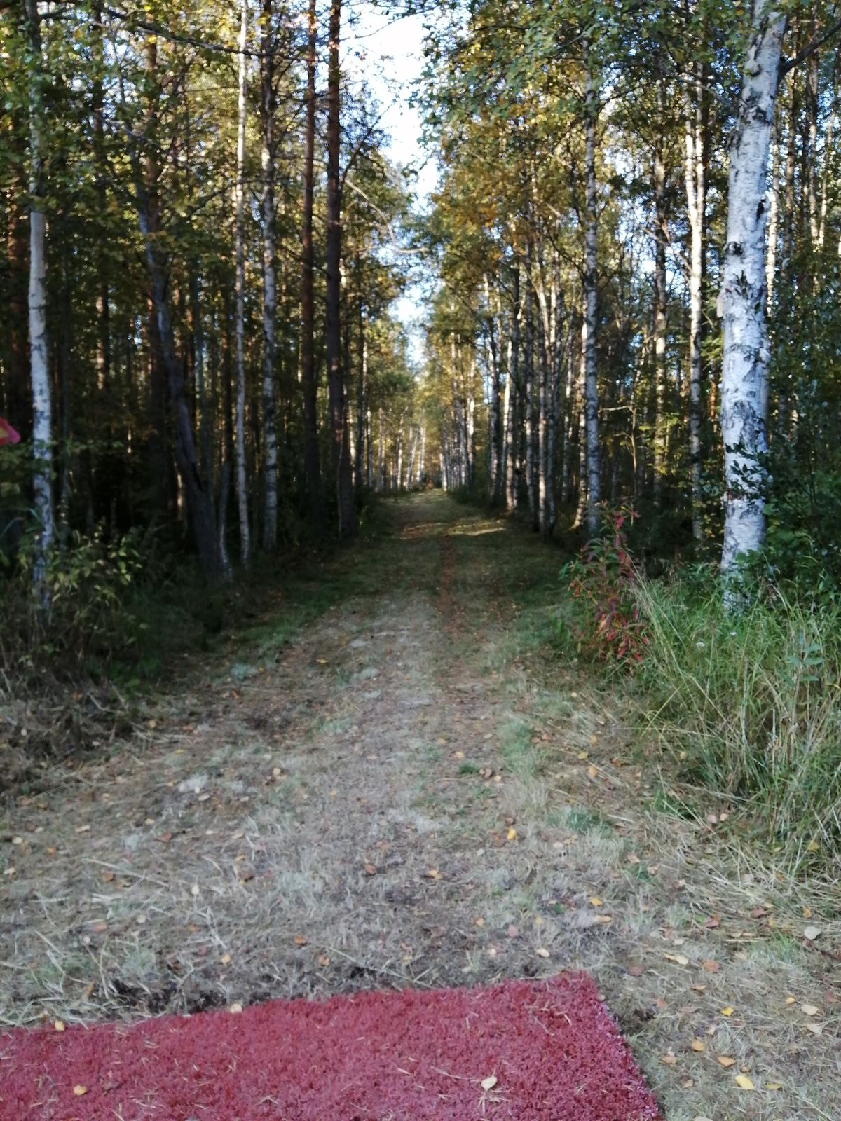 Väylä 18