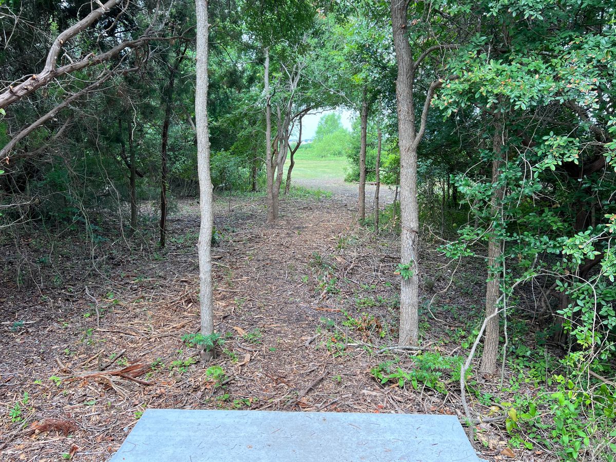 Hole 13 tee