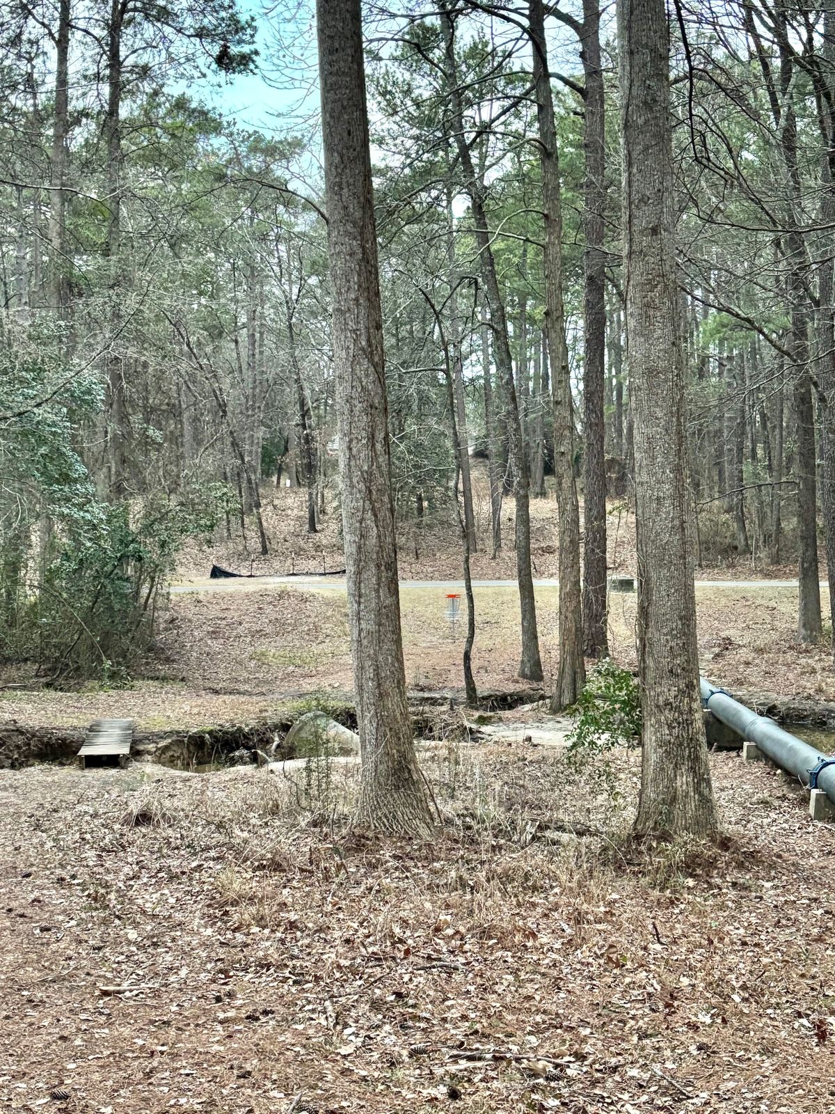 Hole 17 Approach