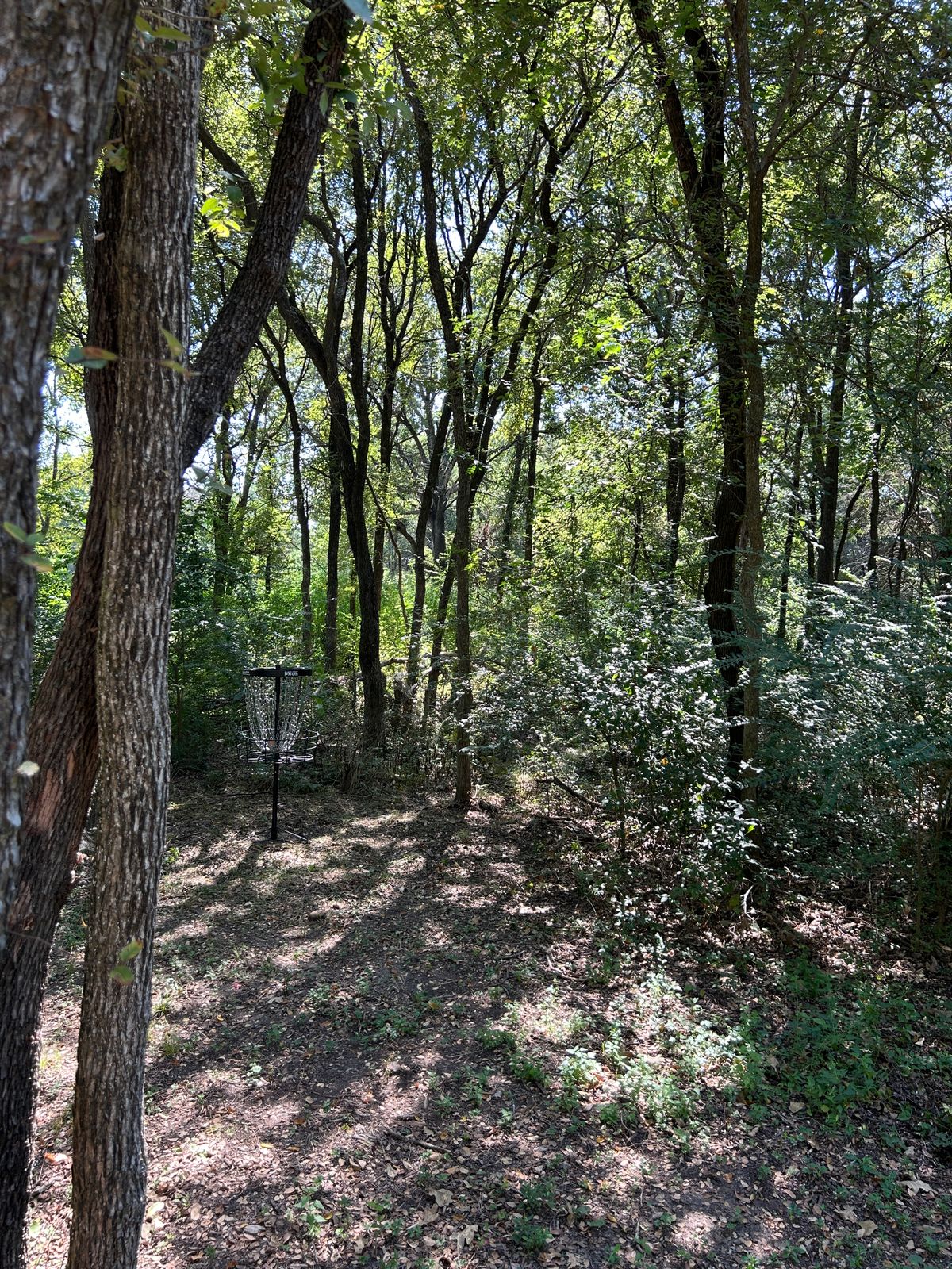 Hole 5s new pin position.