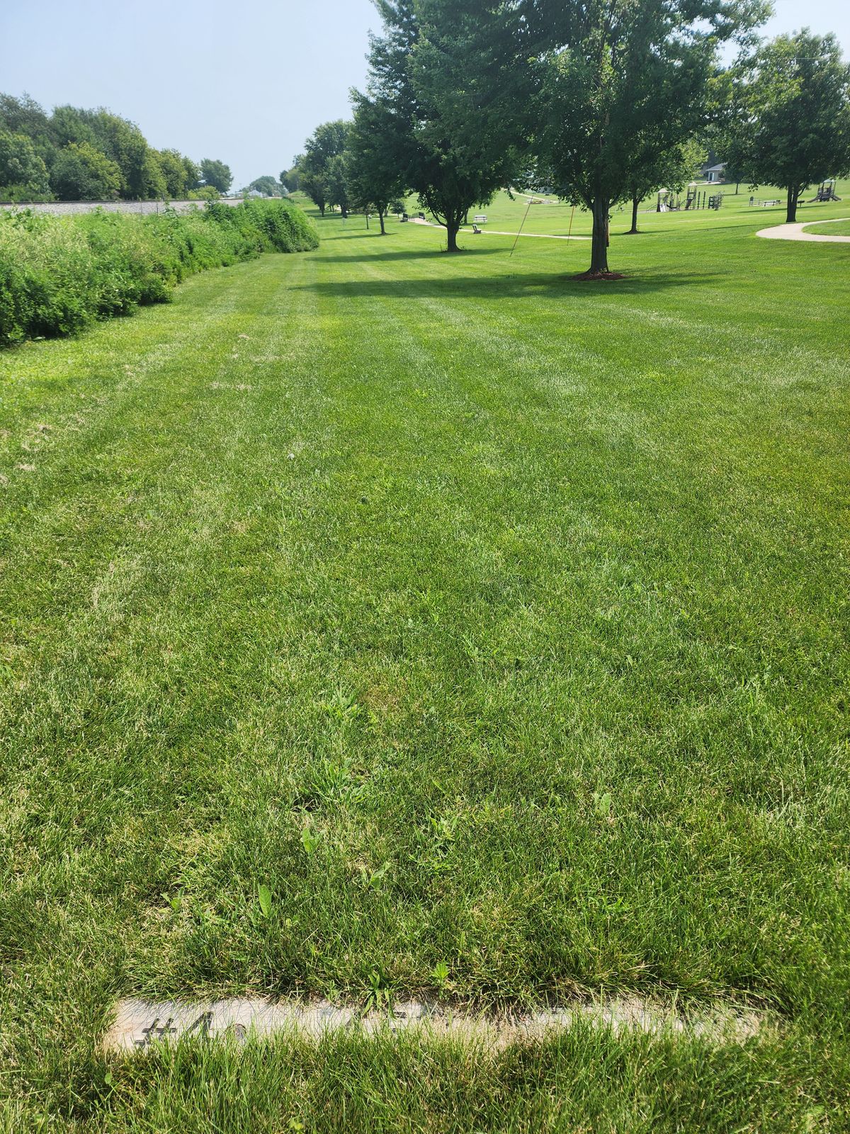 Hole #4, 5, and 6 follow the railroad. Large brush, luckily very little thorns.