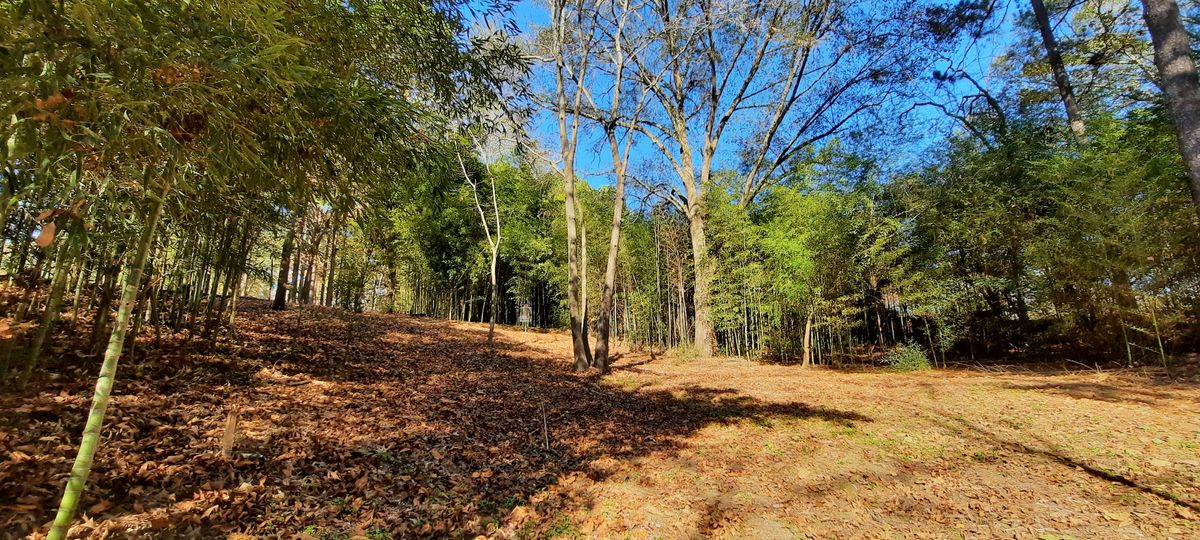 End of Hole 18