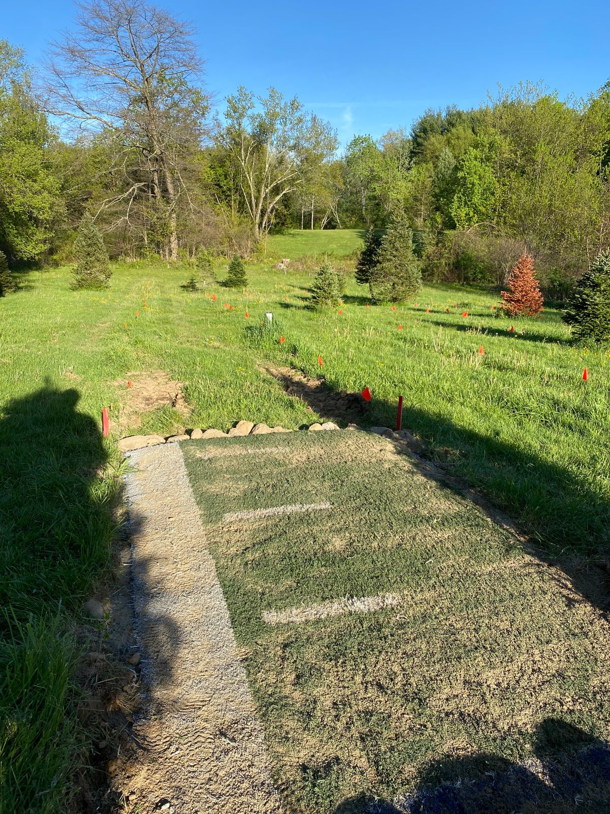 Hole 17 short tee