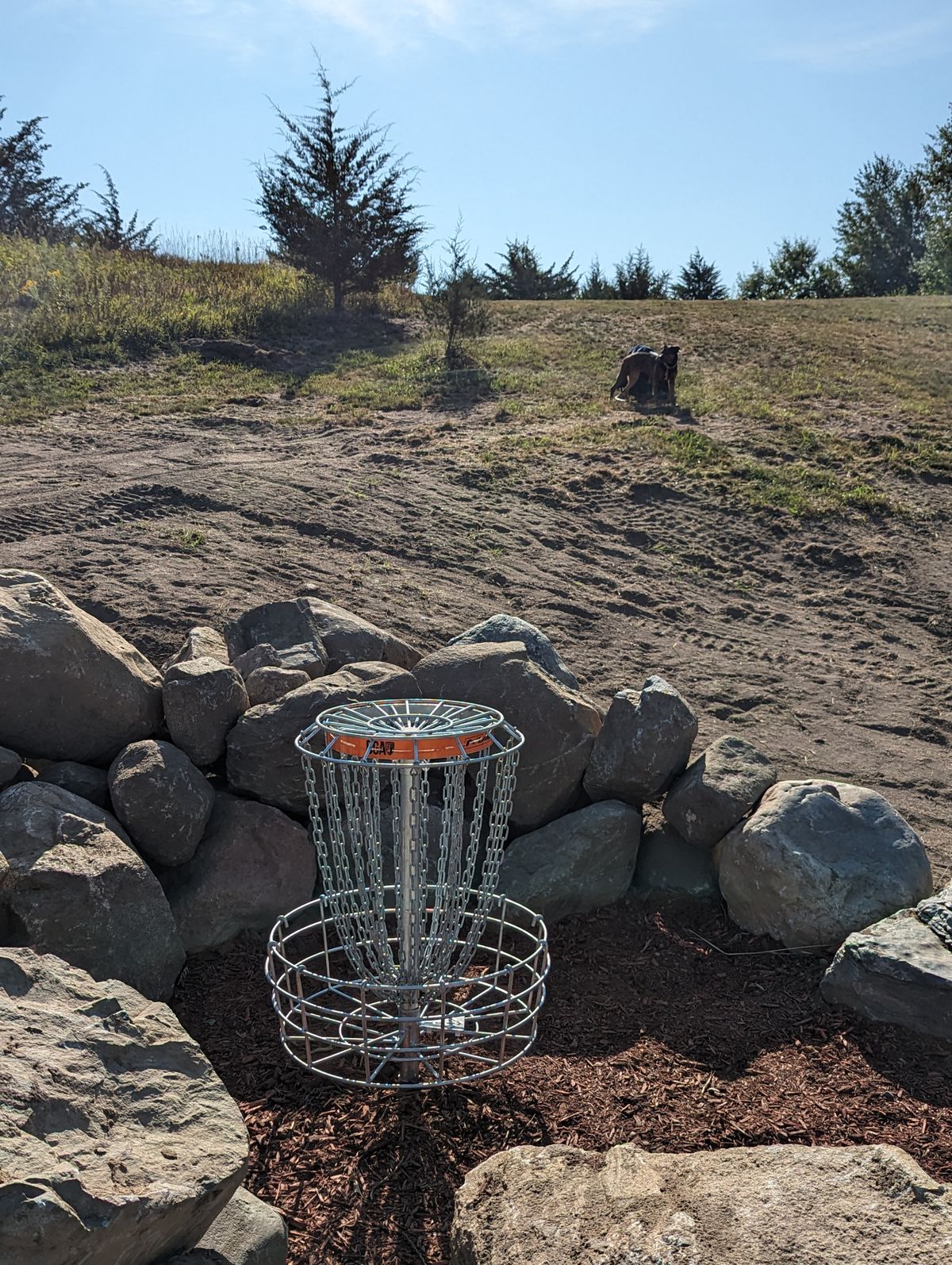 Short Basket looking back at fairway