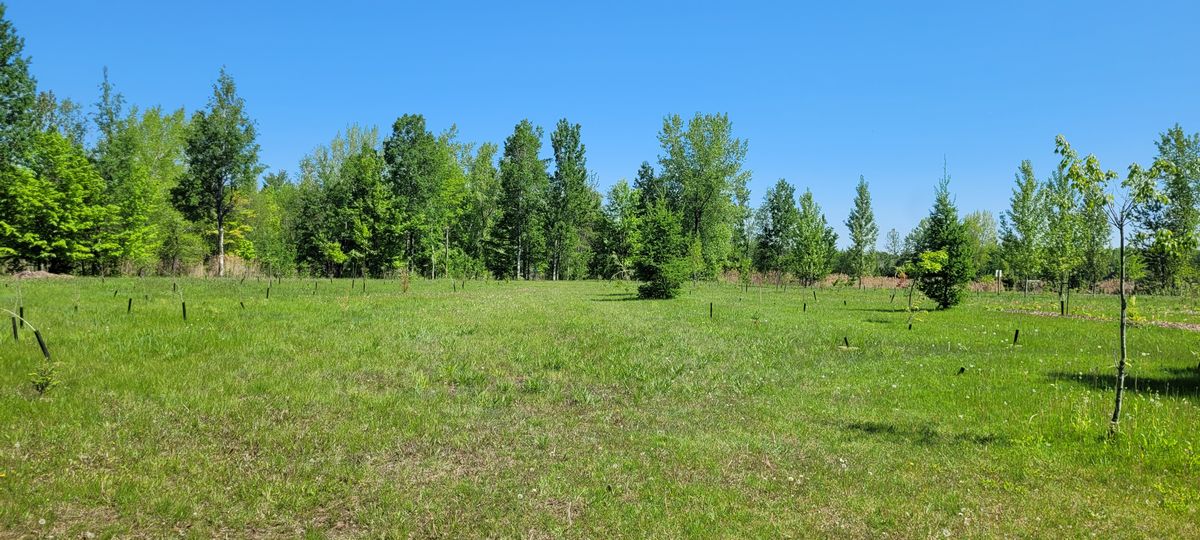 Fairway 14