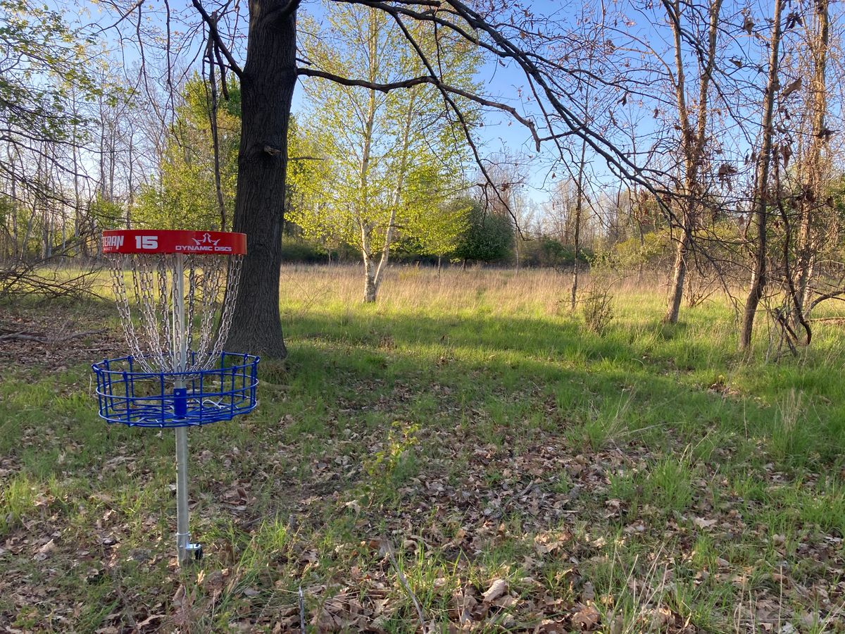16 long basket