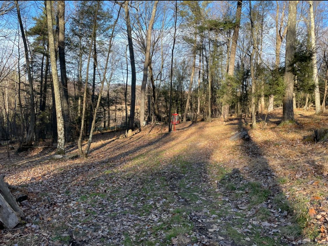 Hole 7