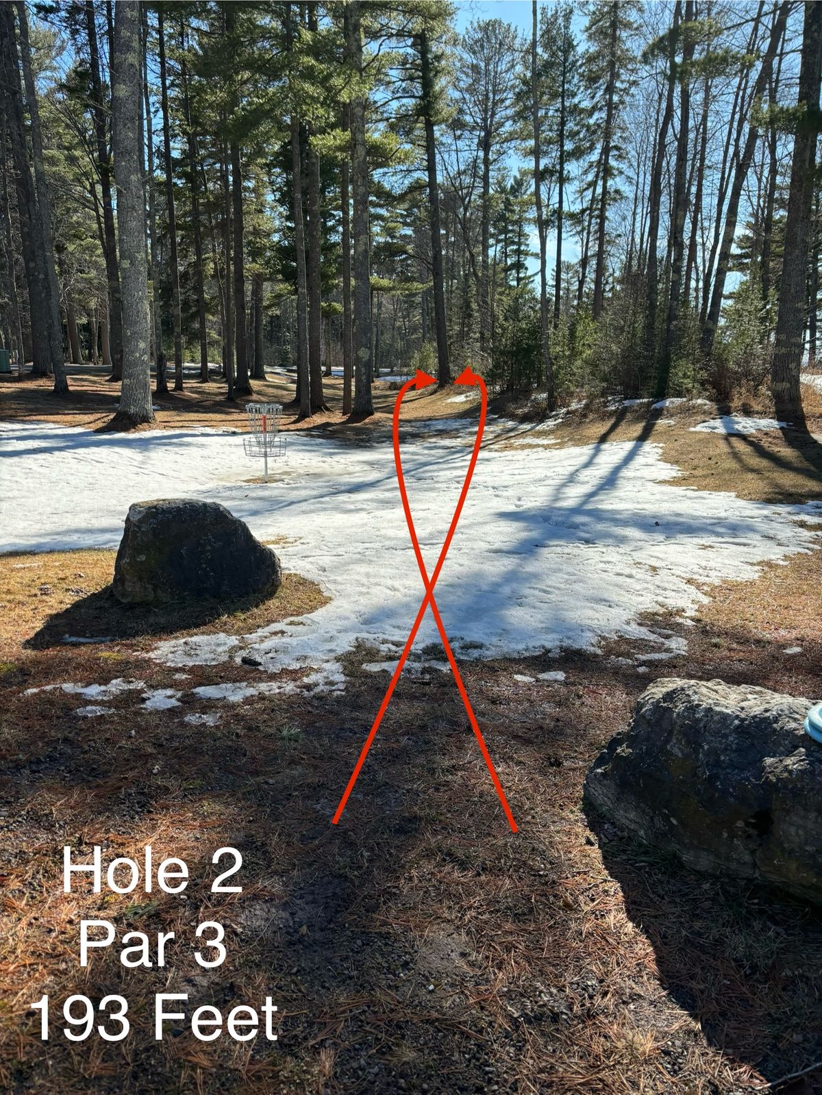Hole 2 Shorts