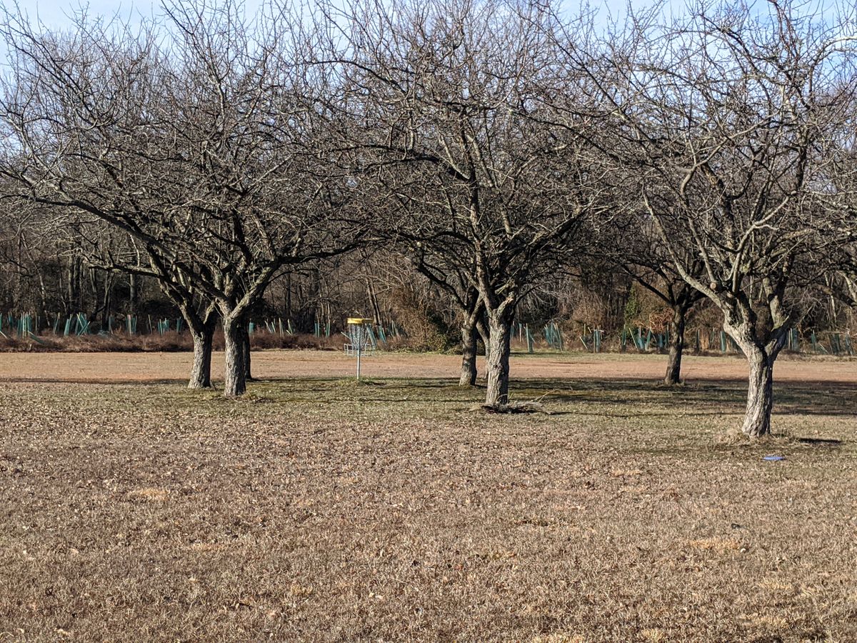 Hole 5