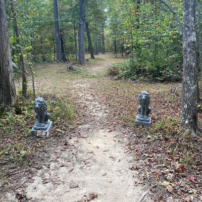 Hole 11 tee pad (lions head hole)