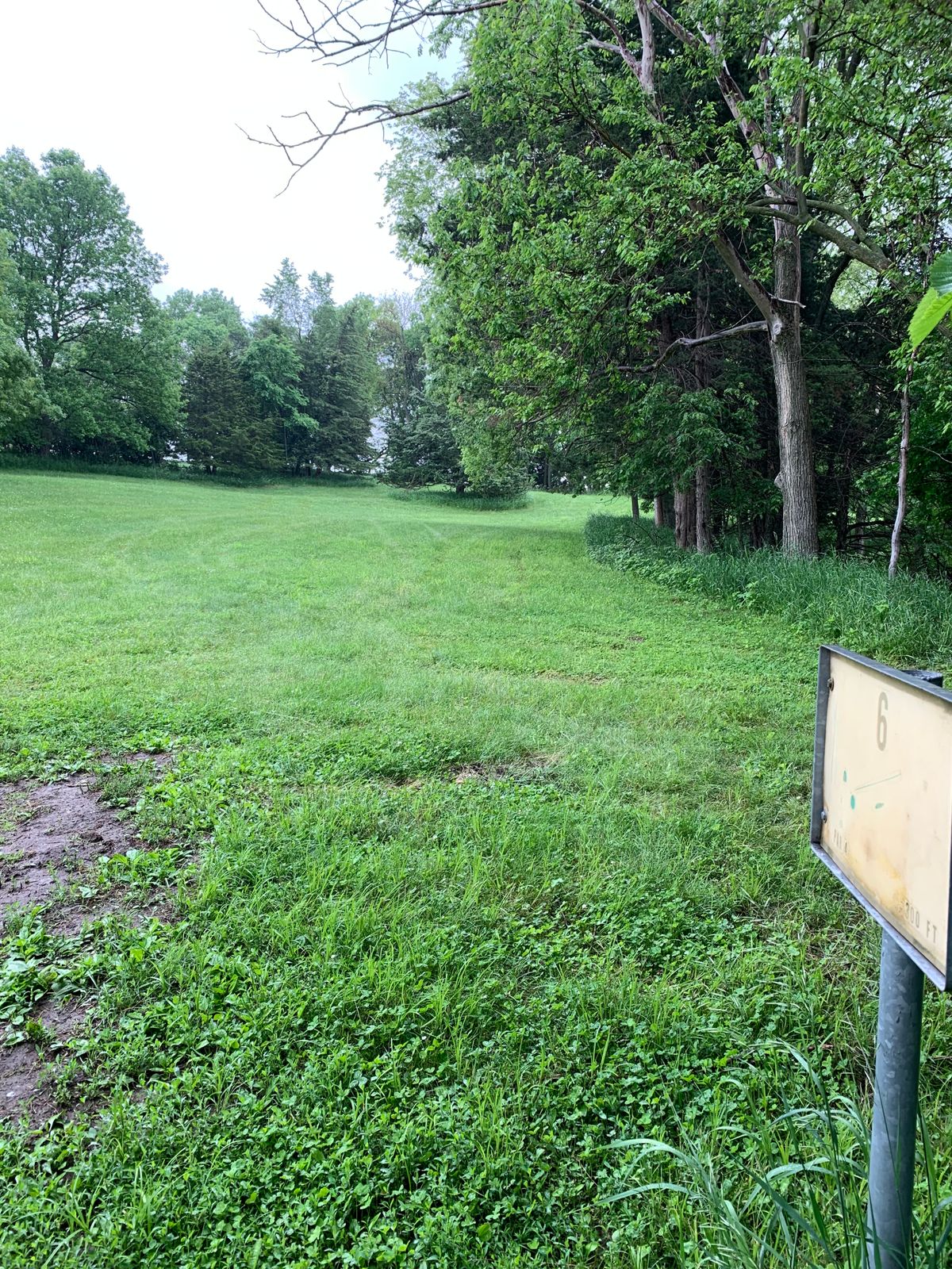 Hole #6 Tee