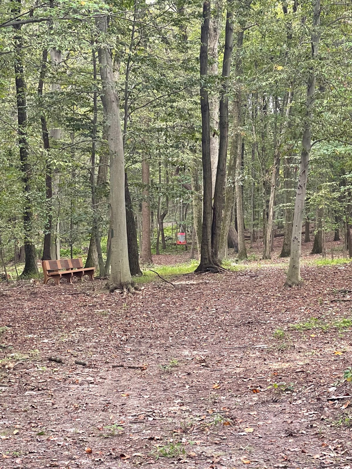 Second shot look- Hole 8.