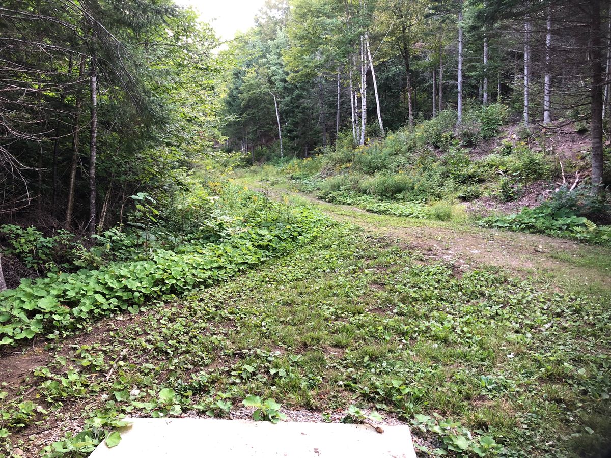 11 Tee pad