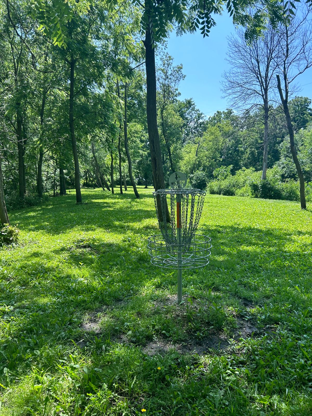 Hole 4 basket - great hole
