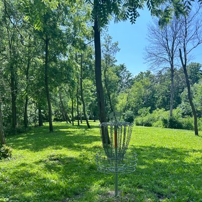 Hole 4 basket - great hole