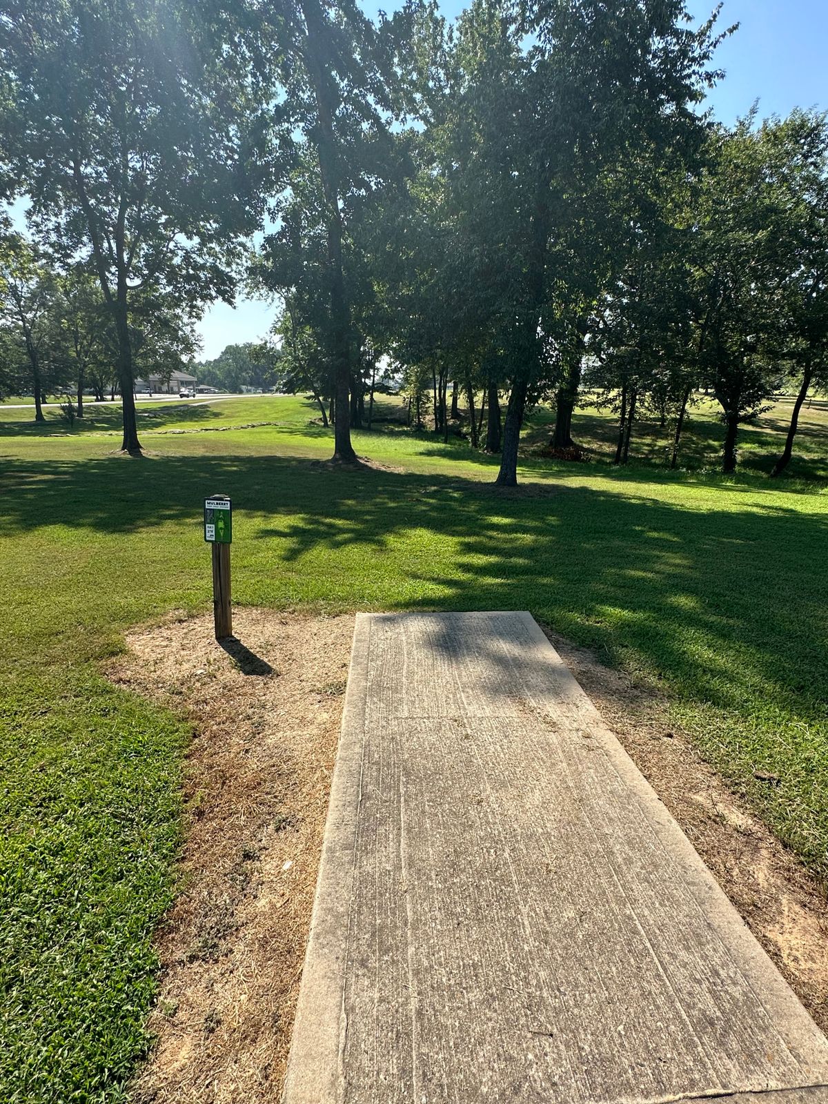 Hole 4 Tee Pad Mulberry Arkansas Disc Golf Course