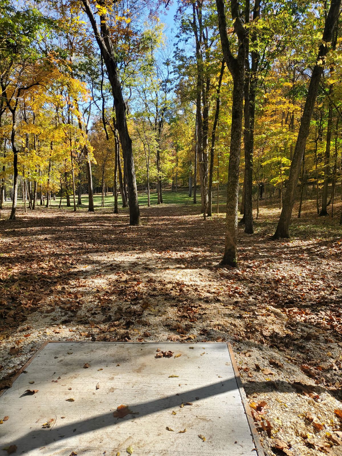 Hole 7