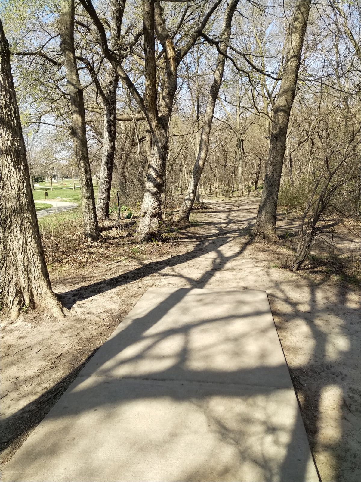 Hole #8 Red Tee (April 2021)