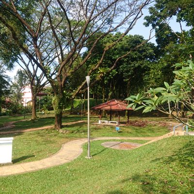 Course photo