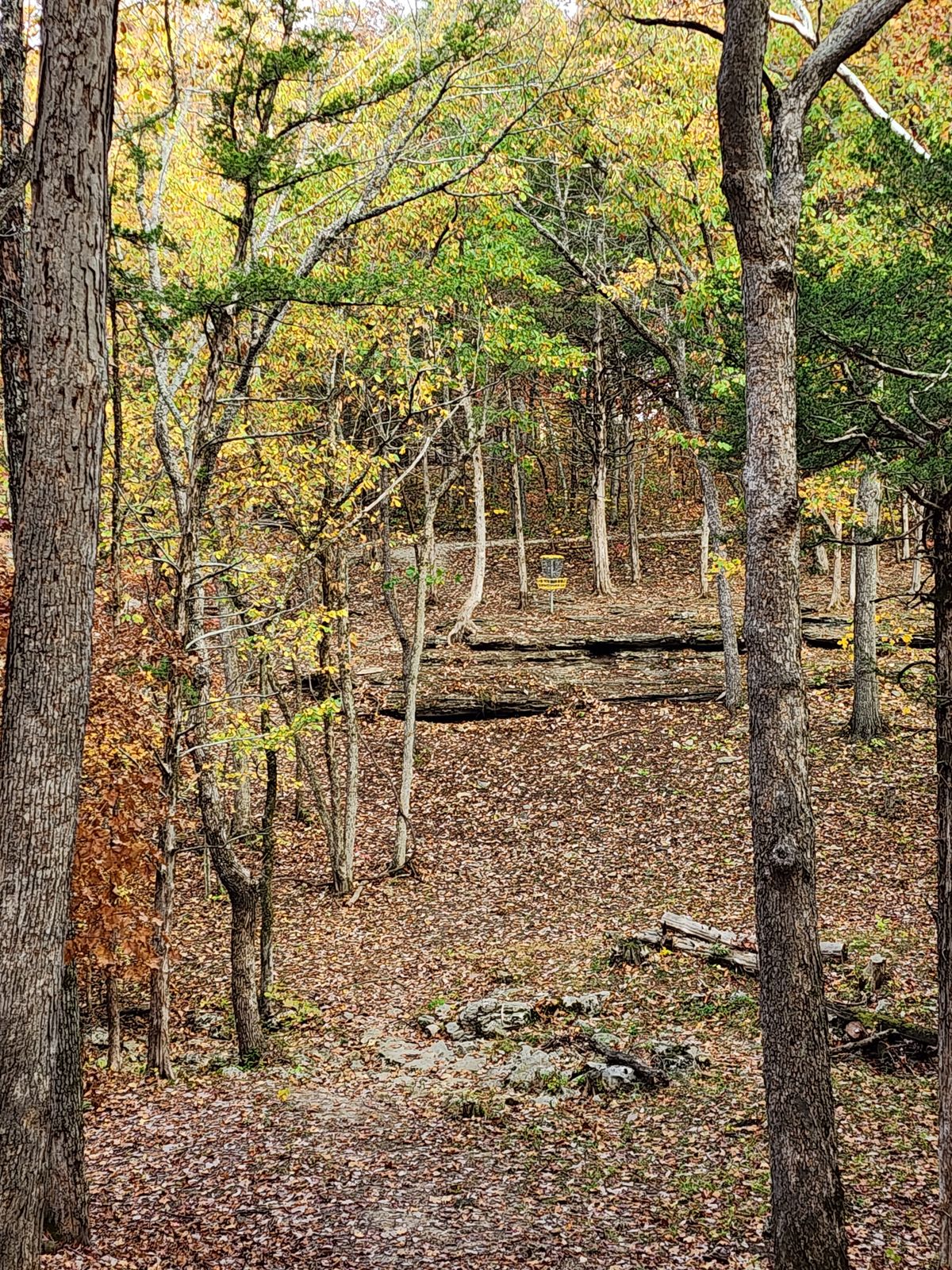 Hole 12