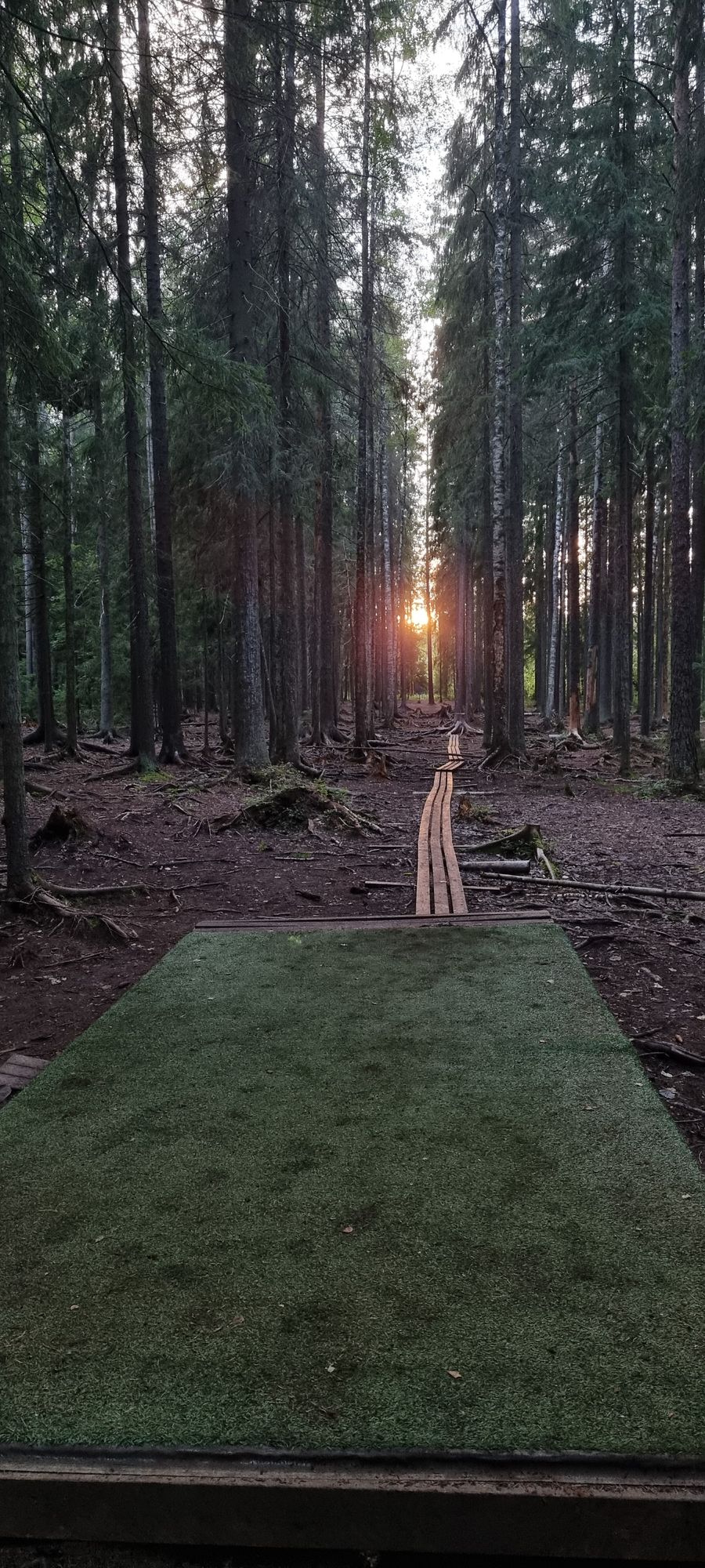#10 to the sunset