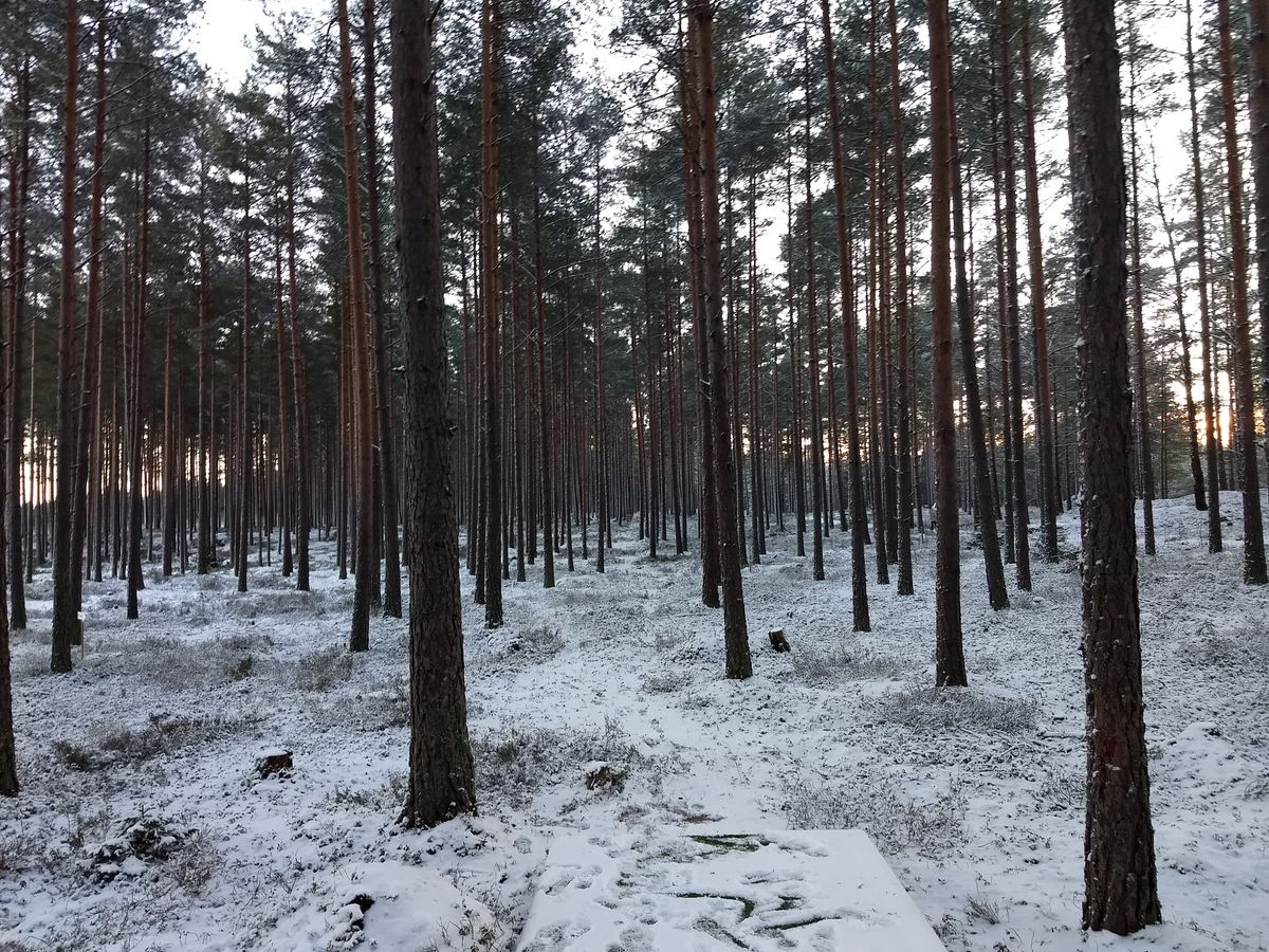 Hål 8