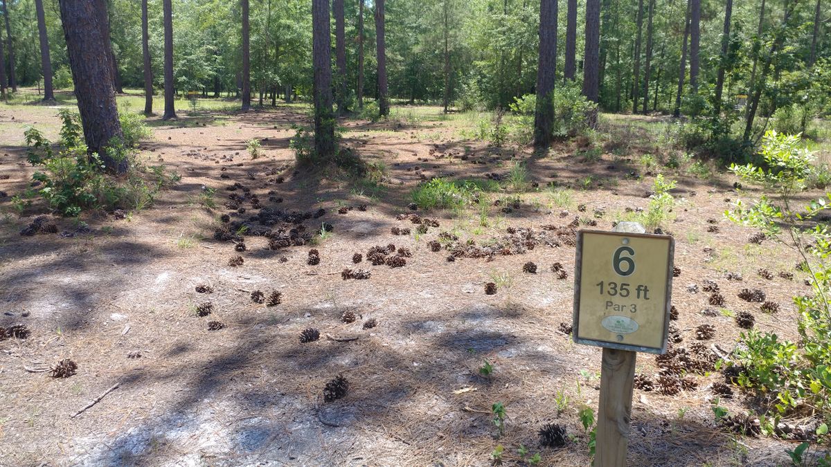 Love the short birdie-able 9, will be back! #averageguysplayingmediocrediscgolf