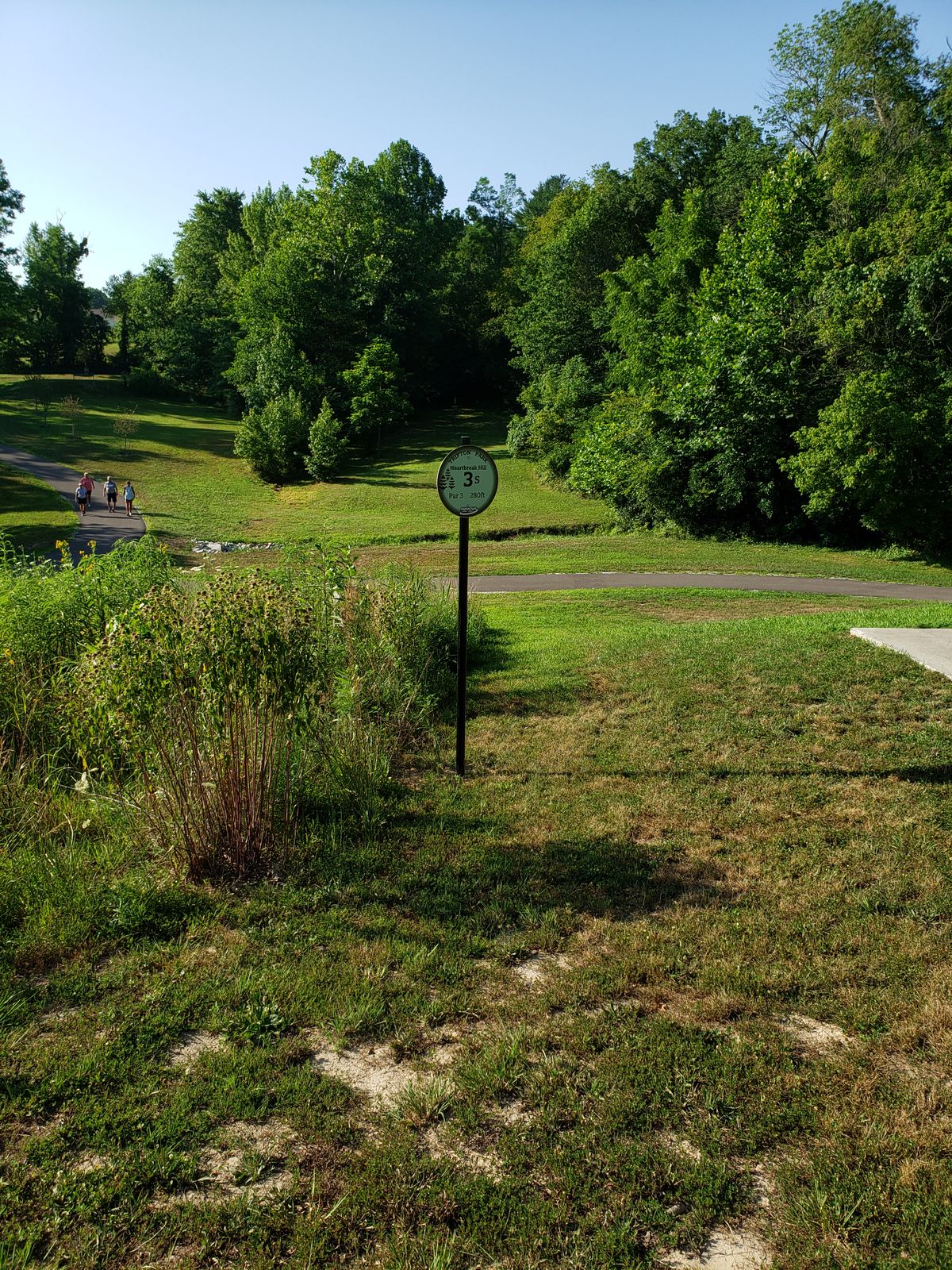 #3 Short Tee Box, looking downhill.