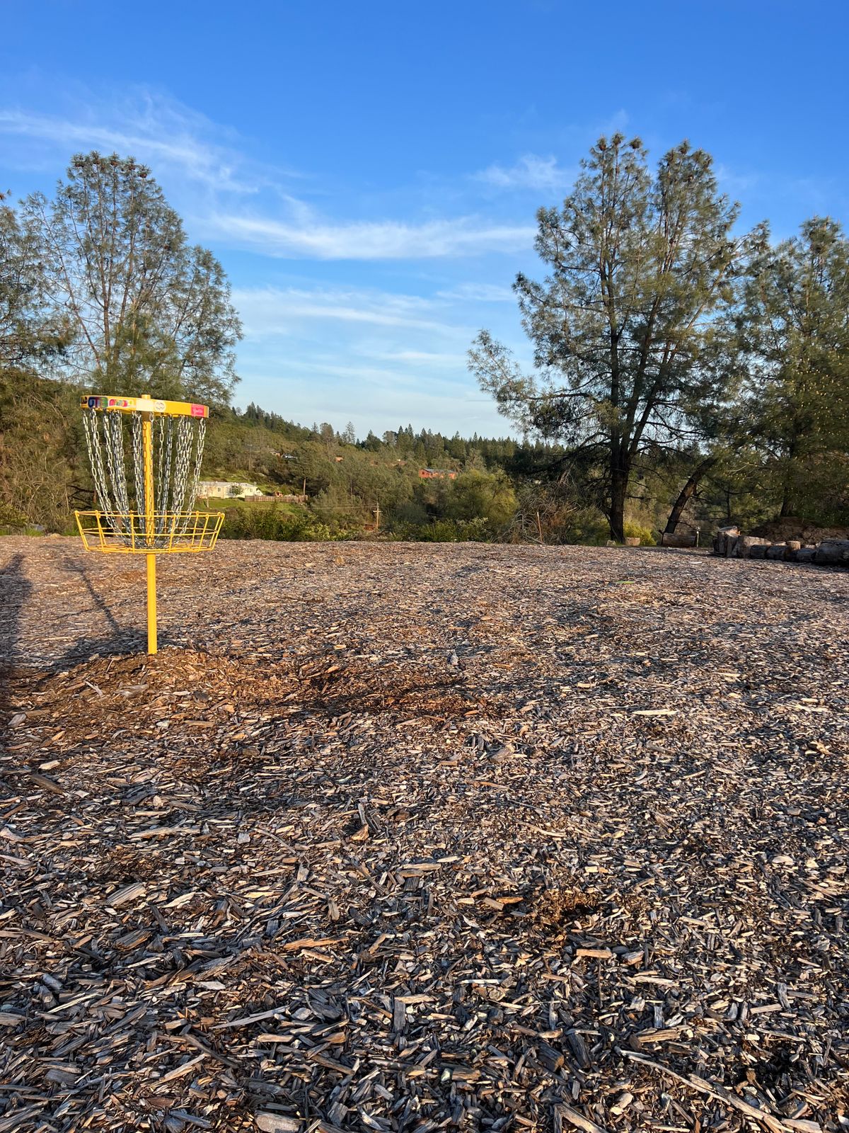 Hole 8 basket