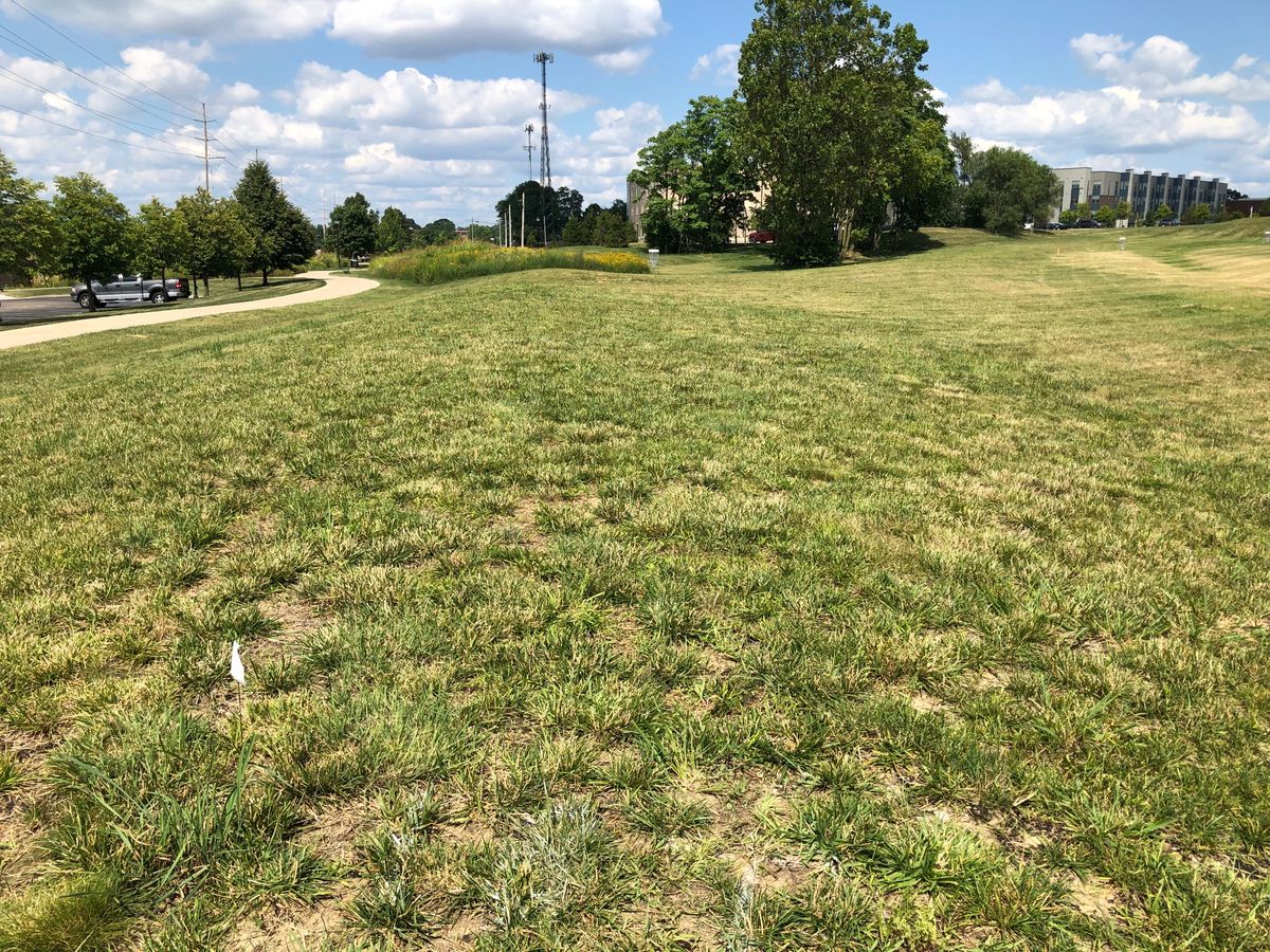 Hole 18 tee